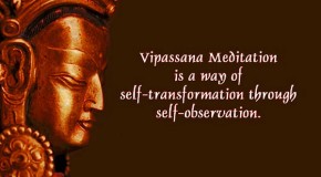 meditation vipassana experience